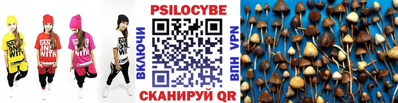 Купить закладки  Котлас  Псилоцибиновые грибы Psilocybine cubensis 