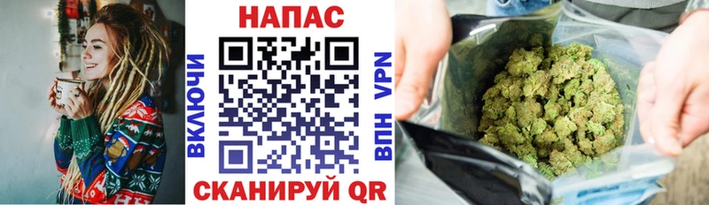 Каннабис индика  Купить закладки  Котлас 